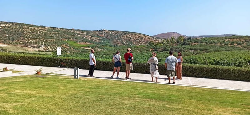 Discover Taste of Crete: Guided Winery Tour and Tastings - Ten tastings, but not ten large glasses