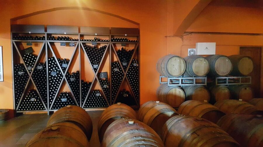 Discover Taste of Crete: Guided Winery Tour and Tastings - Who will get the most from this wine tour