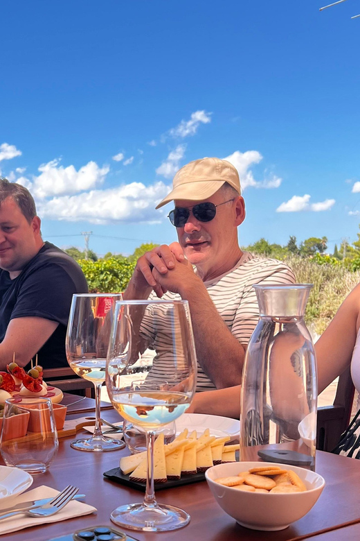 Discover the treasures of the Mallorca wine on a top winery - Key points at a glance