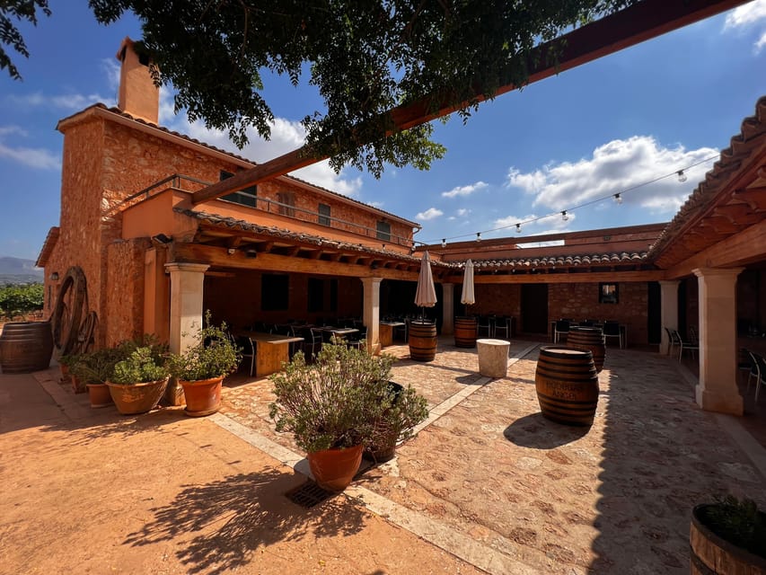 Discover the treasures of the Mallorca wine on a top winery - Booking, cancellation, and practical planning