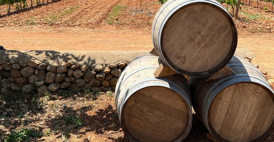 Discover the treasures of the Mallorca wine on a top winery - Why this winery visit feels distinctly Mallorcan
