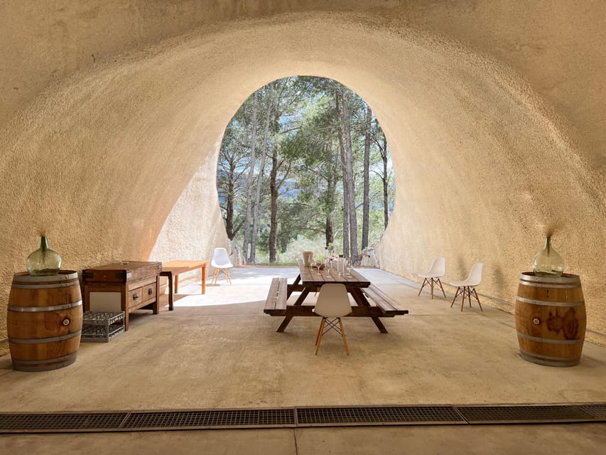 Discover the treasures of the Mallorca wine on a top winery - Countryside views and a slower two hours