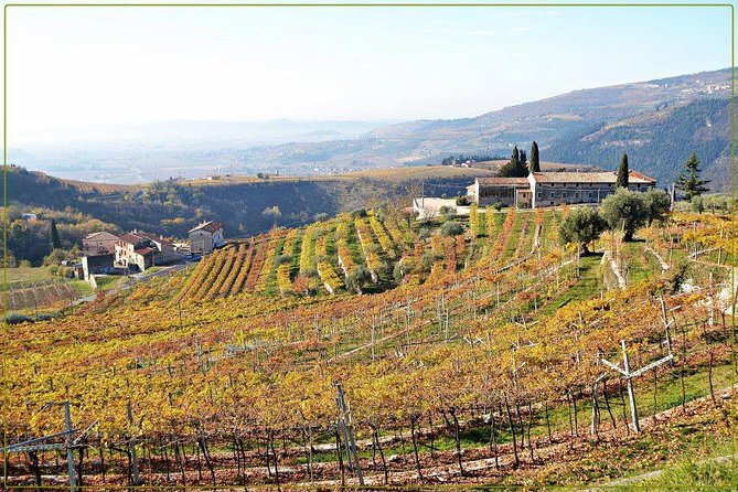Discover Valpolicella Vineyards and Wine Tasting Experience - Who will enjoy Tenuta Santa Maria Valverde?