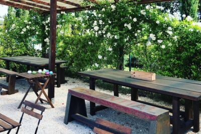 Discovering the Bolgheri vineyards and tasting local products
