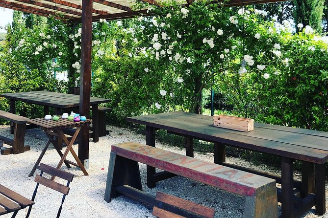 Discovering the Bolgheri vineyards and tasting local products - Inside the cellar and barrel room