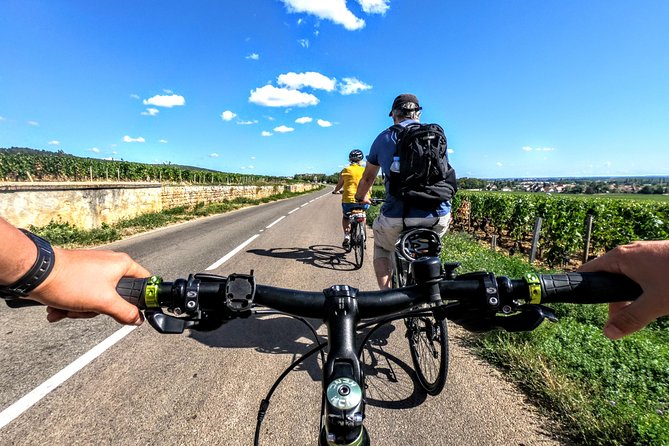 Discovery by bike & Tasting in the vineyards - Key points to know before you book