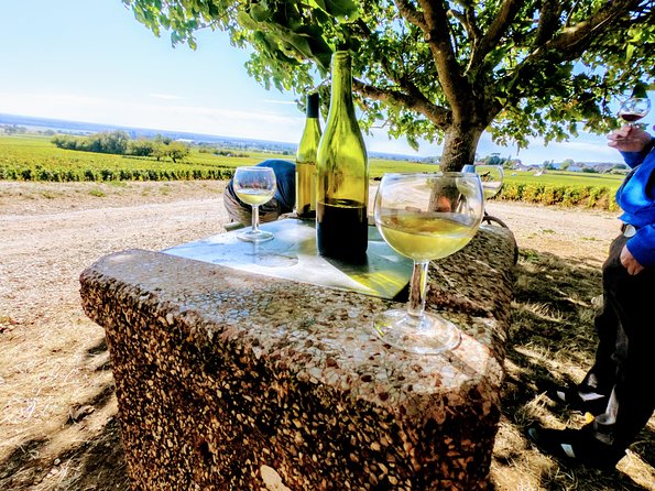 Discovery by bike & Tasting in the vineyards - Breaks for wine, crème de cassis, and local food