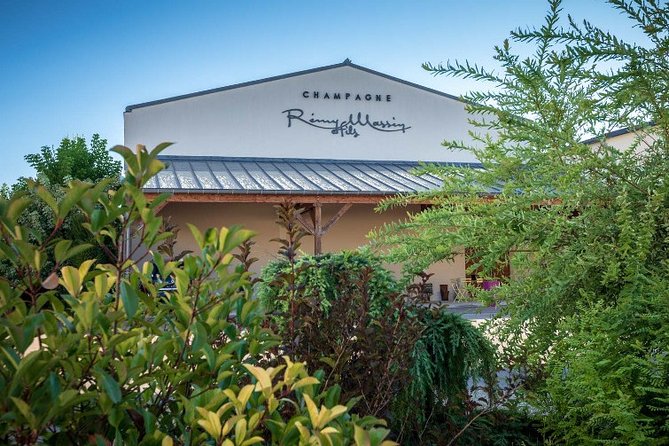 Discovery of a Champagne from Vintner, from the cellar to the tasting - The 45-minute production visit
