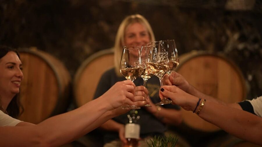 Discovery tour - cellar tour with wine tasting - Tasting four wines from Weingut Schwaab