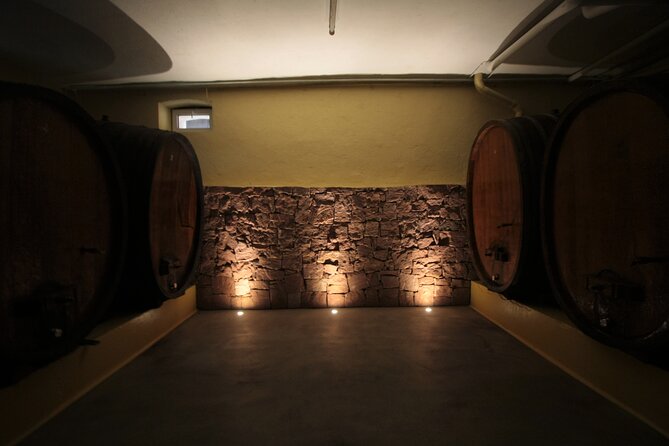 Discovery Vineyard - Walking the Grand Cru Mandelberg vineyards