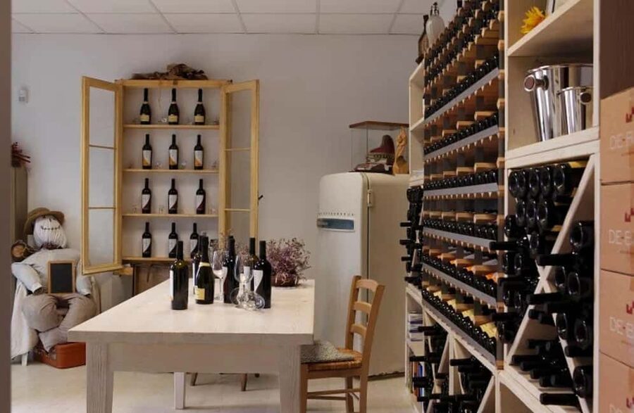 Dolomites Winery Tour and Wine Tasting near Belluno - Why this Belluno winery visit feels different