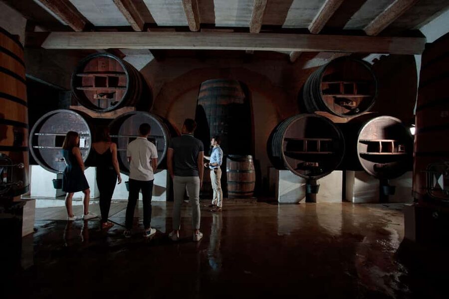 Domaine de Soustres, Montady : Visit and Tasting - Key points at a glance