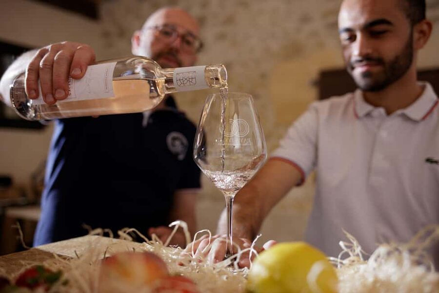 Domaine de Soustres, Montady : Visit and Tasting - Why Domaine de Soustres works for a short wine outing