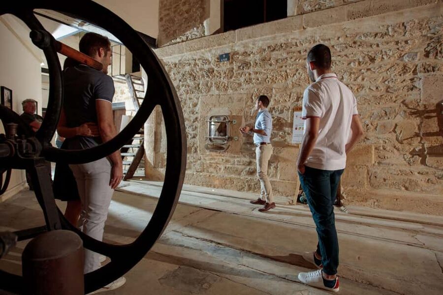 Domaine de Soustres, Montady : Visit and Tasting - Reading the vine from roots to grape cluster