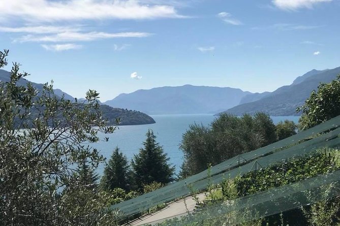 Domaso: Wine Tasting at the Winery on Como Lake - Why this Domaso winery visit feels different