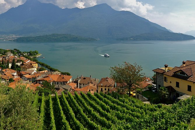 Domaso: Wine Tasting at the Winery on Como Lake - Three wines, three styles of food