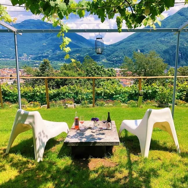Domodossola: Savor Wines & Local Treats in a Scenic Vineyard - Why Ossola wine makes this tasting different