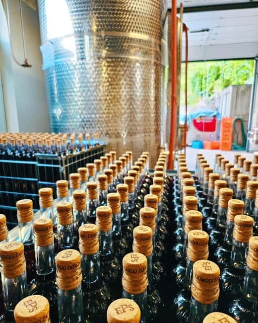 Domodossola: Savor Wines & Local Treats in a Scenic Vineyard - A self-guided look at the vineyard and cellar