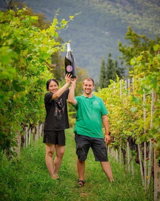 Domodossola: Savor Wines & Local Treats in a Scenic Vineyard - How the 1.5 to 2 hours usually work