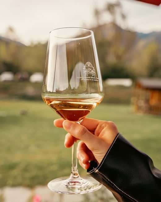 Domodossola: Savor Wines & Local Treats in a Scenic Vineyard - Is $31 a fair price?