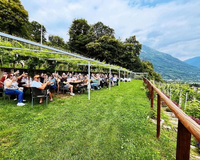 Domodossola: Savor Wines & Local Treats in a Scenic Vineyard - Practical details before you book
