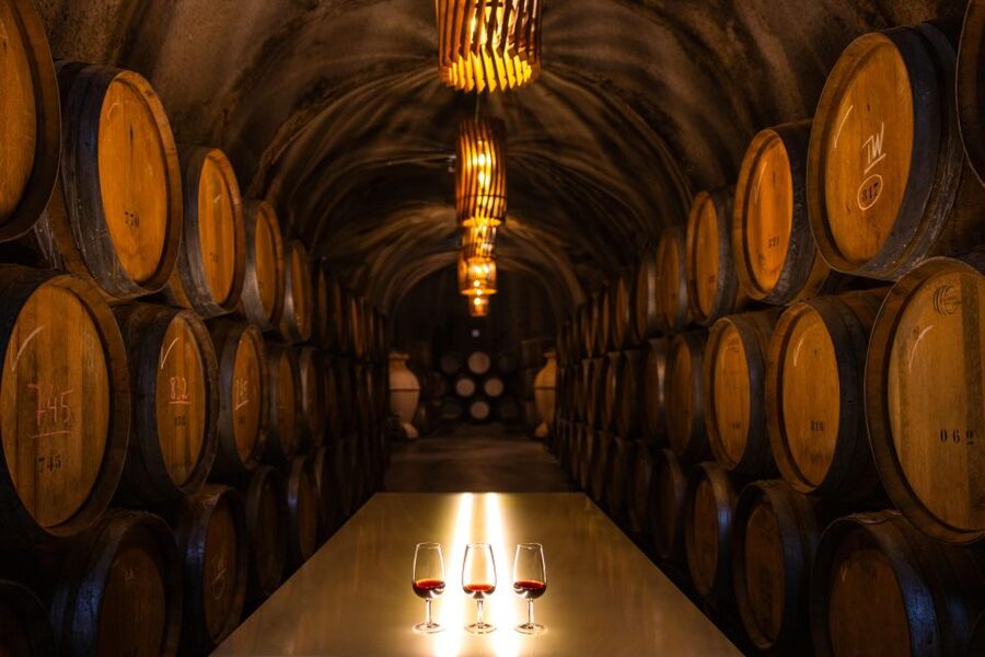 Douro Luxury - Private Cruise Premium Winery and Restaurant - Should you book the $235 private Douro day?