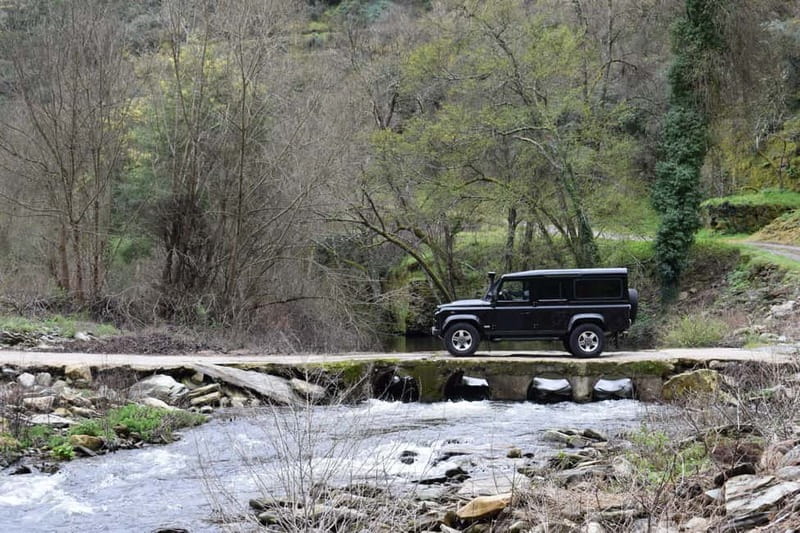 Douro offroad experience: visit to a winery and a picnic - Who will enjoy this most