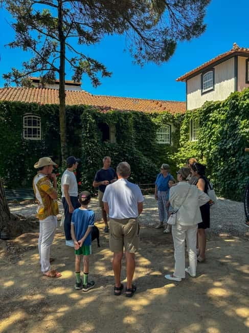 Douro Valley: 4x4 Safari and Vineyard Visit - Quinta do Outeiro and the white wine tasting