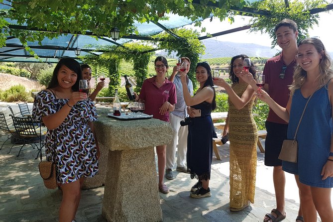 Douro Valley for Wine Lovers with Visit to 4 Wineries and Lunch - Key points to know before booking
