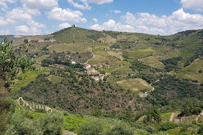 Douro Valley for Wine Lovers with Visit to 4 Wineries and Lunch - Why the Douro Valley makes a fine day from Porto
