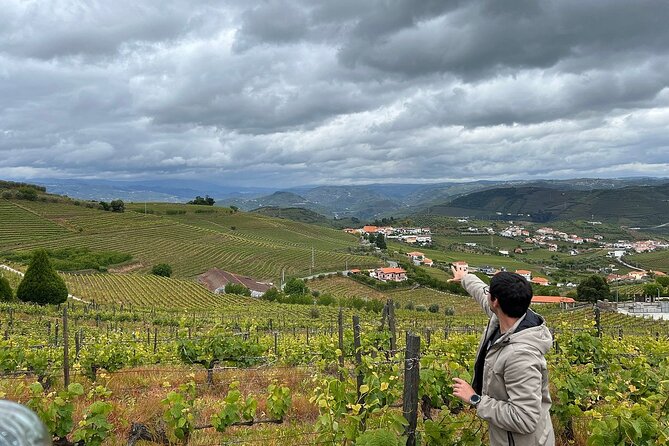 Douro Valley for Wine Lovers with Visit to 4 Wineries and Lunch - Olive oil and honey make the final stop different