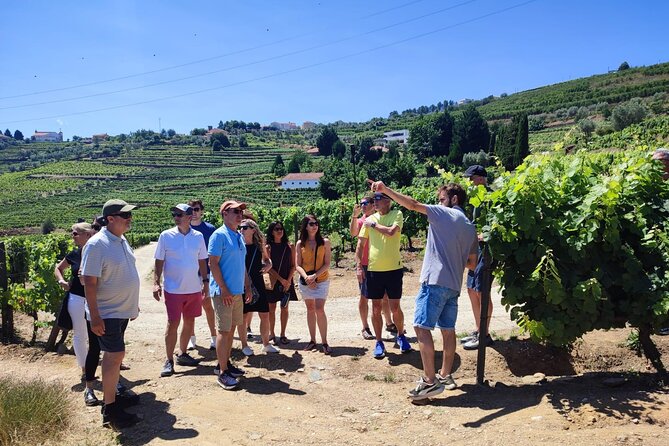 Douro Valley for Wine Lovers with Visit to 4 Wineries and Lunch - What the first winery adds to the day