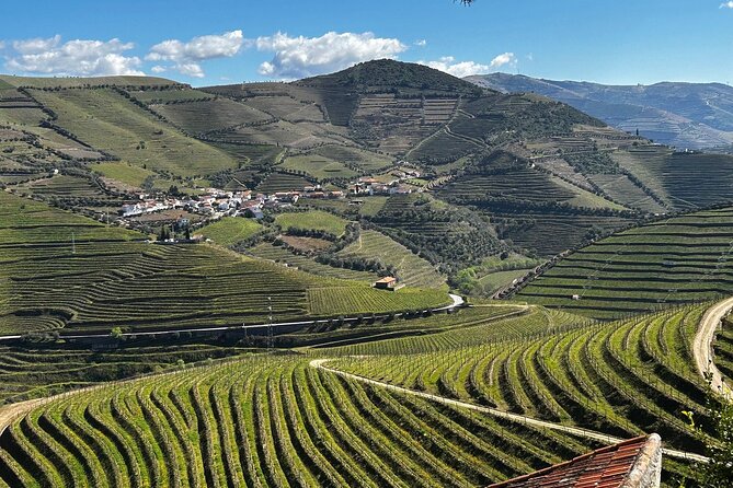 Douro Valley Half-Day Tour with Winery and Lunch From Porto - Why This Short Douro Tour Works