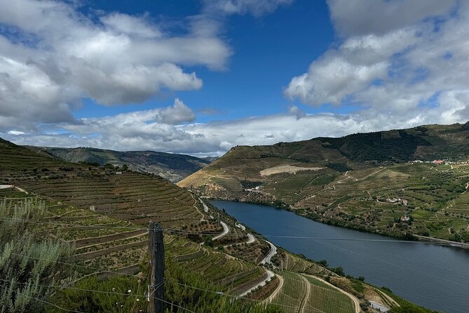 Douro Valley Half-Day Tour with Winery and Lunch From Porto - Pinhão and the Winery Visit