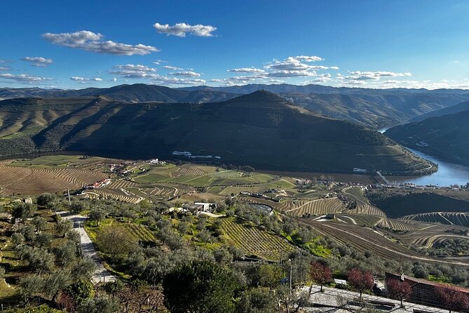 Douro Valley Half-Day Tour with Winery and Lunch From Porto - Who Should Book This Experience