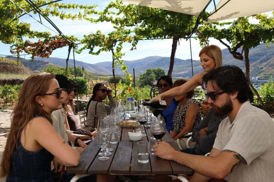 Douro Valley: Half-Day, with 1 winery & 1-h boat tour - Key points at a glance
