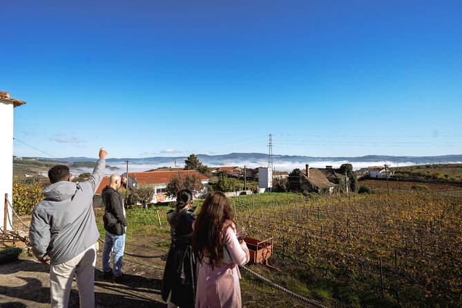 DOURO VALLEY: Lunch in a winery, tastings & 1-h private boat tour - The road from Pinhão to Peso da Régua
