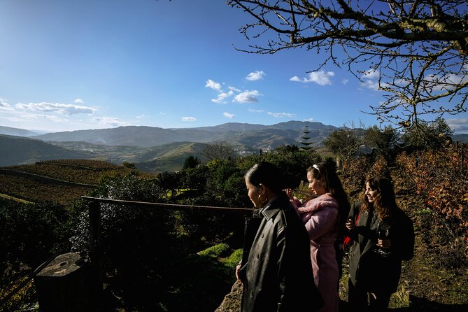 DOURO VALLEY: Lunch in a winery, tastings & 1-h private boat tour - A substantial lunch with Douro wine