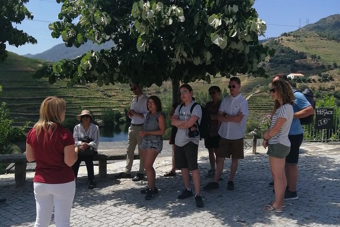 DOURO VALLEY: Lunch in a winery, tastings & 1-h private boat tour - Is $139.08 a fair price?