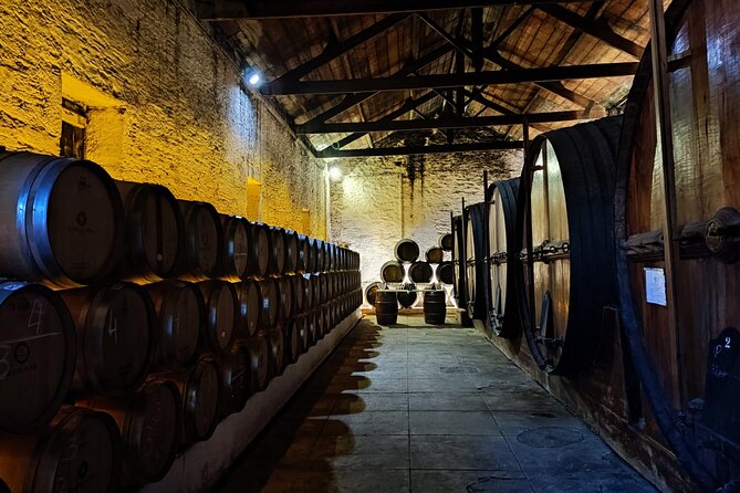Douro Valley Pinhao Quinta da Foz Tour and Tasting 5 Wines - Inside the cellar with red, white, and Port wines