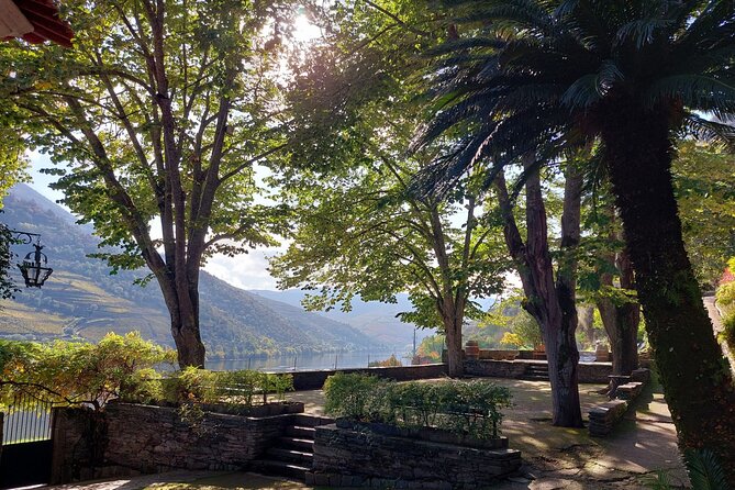 Douro Valley Pinhao Quinta da Foz Tour and Tasting 5 Wines - Walking to the old vines
