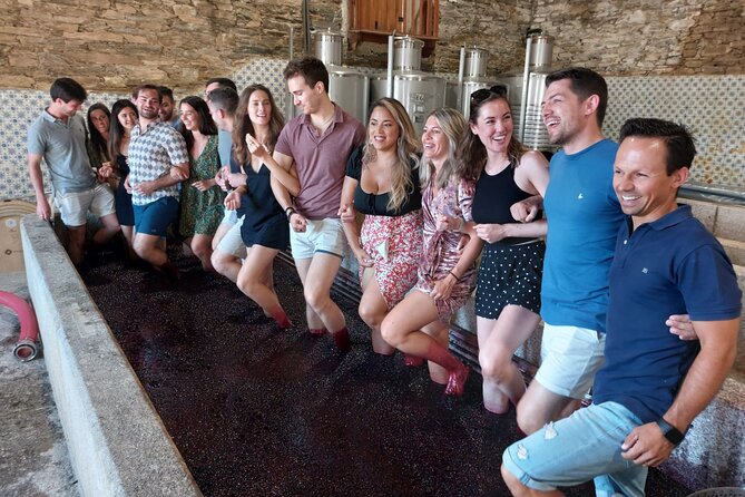 Douro Valley Pinhao Quinta da Foz Tour and Tasting 5 Wines - Is $42.24 a fair price?