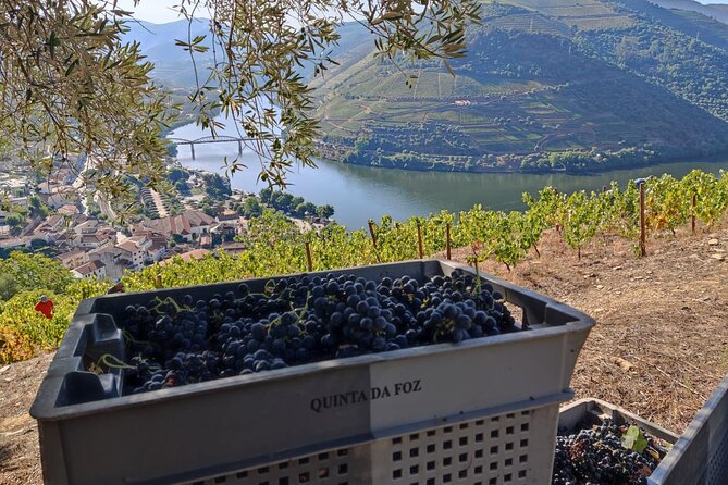 Douro Valley Pinhao Quinta da Foz Tour and Tasting 5 Wines - Seeing how traditional Douro wine is made