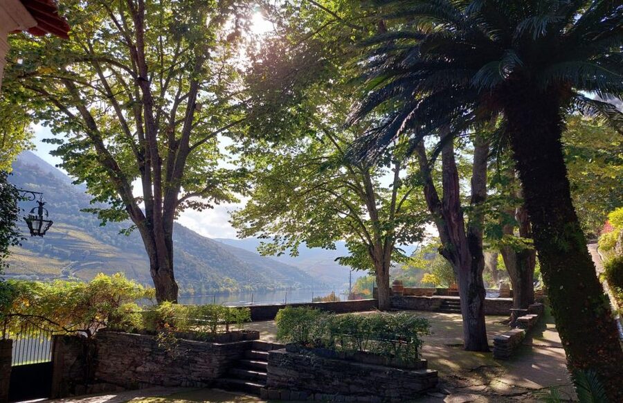 Douro Valley: (Pinhão) Quinta da Foz - Tour&Tasting 5 WINES - Five wines, with dry styles in the glass