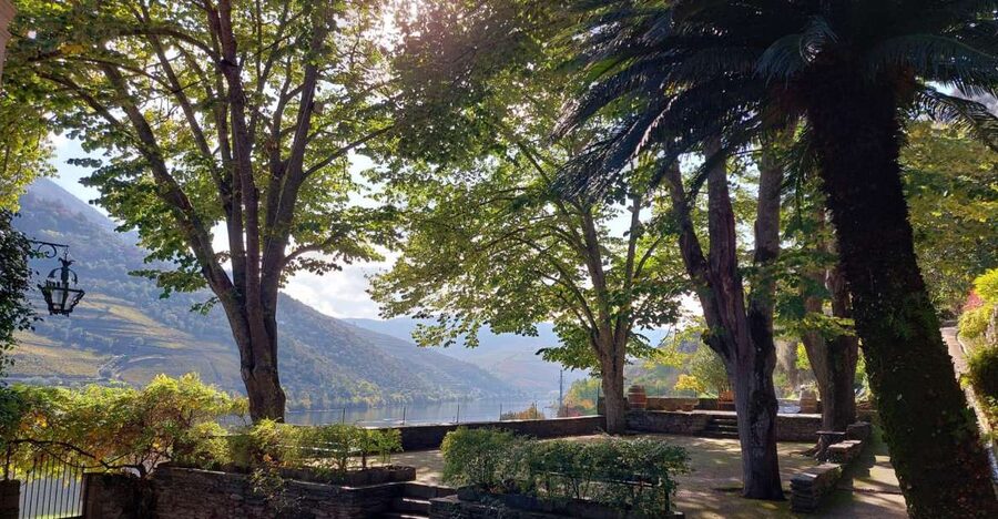 Douro Valley: (Pinhão) Quinta da Foz - Tour&Tasting 5 WINES - Who should book this experience?