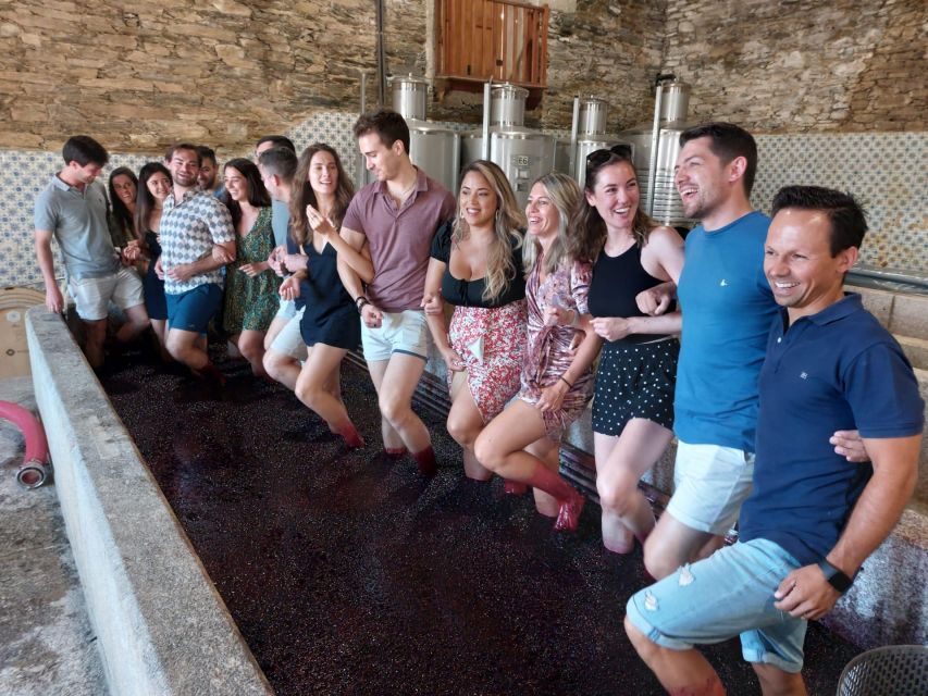 Douro Valley: (Pinhão) Quinta da Foz - Tour&Tasting 5 WINES - What happens during the one-hour visit