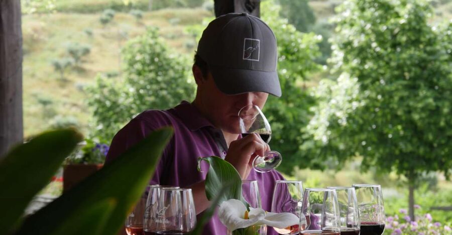 Douro Valley: Premium Port Tasting Winery Tour & River Views - Key points to know before you go