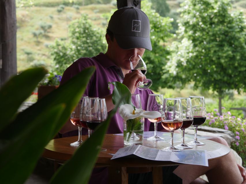Douro Valley: Premium Port Tasting Winery Tour & River Views - Finding the winery near Folgosa