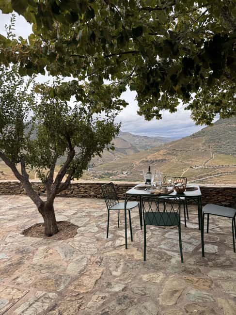Douro Valley: Private 4wd Tour, Winery Visit, Boat & Lunch - Two wineries, two different views of Douro wine