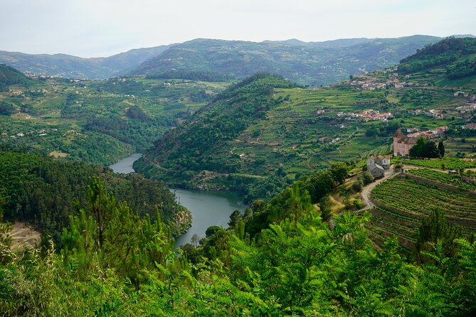 Douro Valley Private Day Trip from Lisbon: Vineyards & River View - The First Look at the Douro River Near Régua